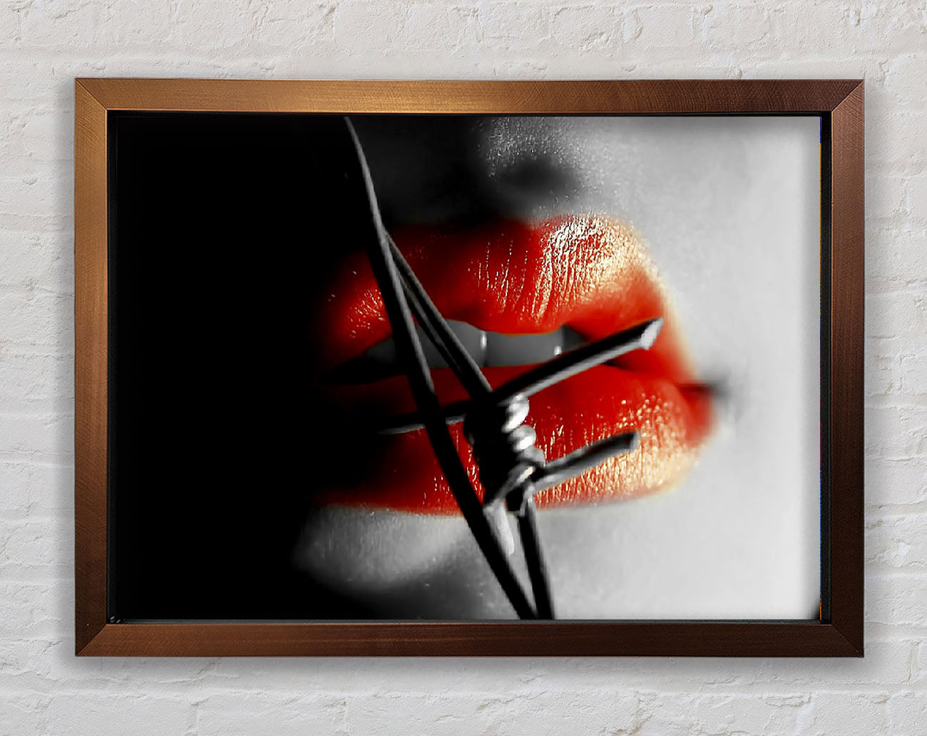 Barbed Wire Lips Framed Wall Art