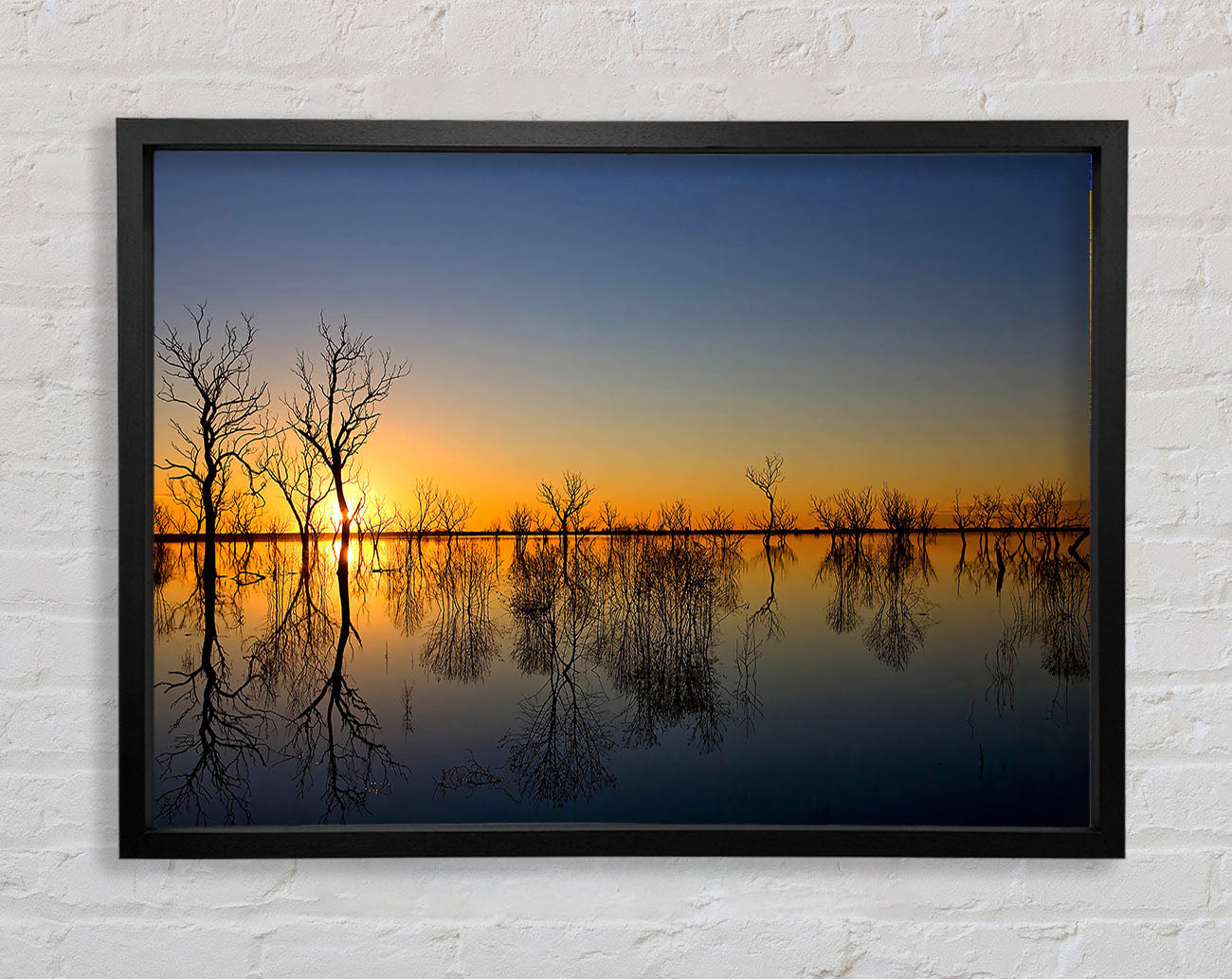 Beautiful Reflections Of The Winter Trees Framed Wall Art