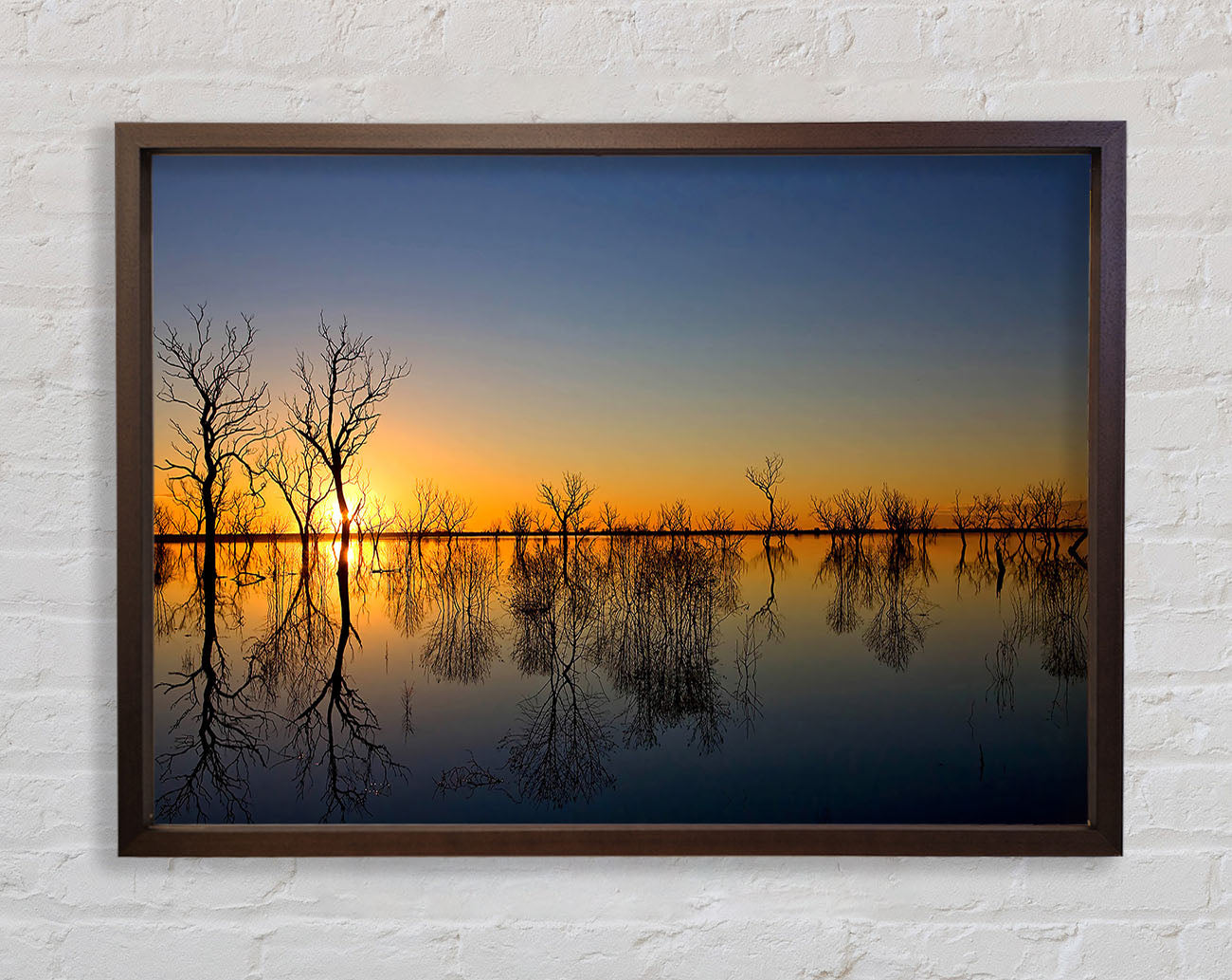 Beautiful Reflections Of The Winter Trees Framed Wall Art