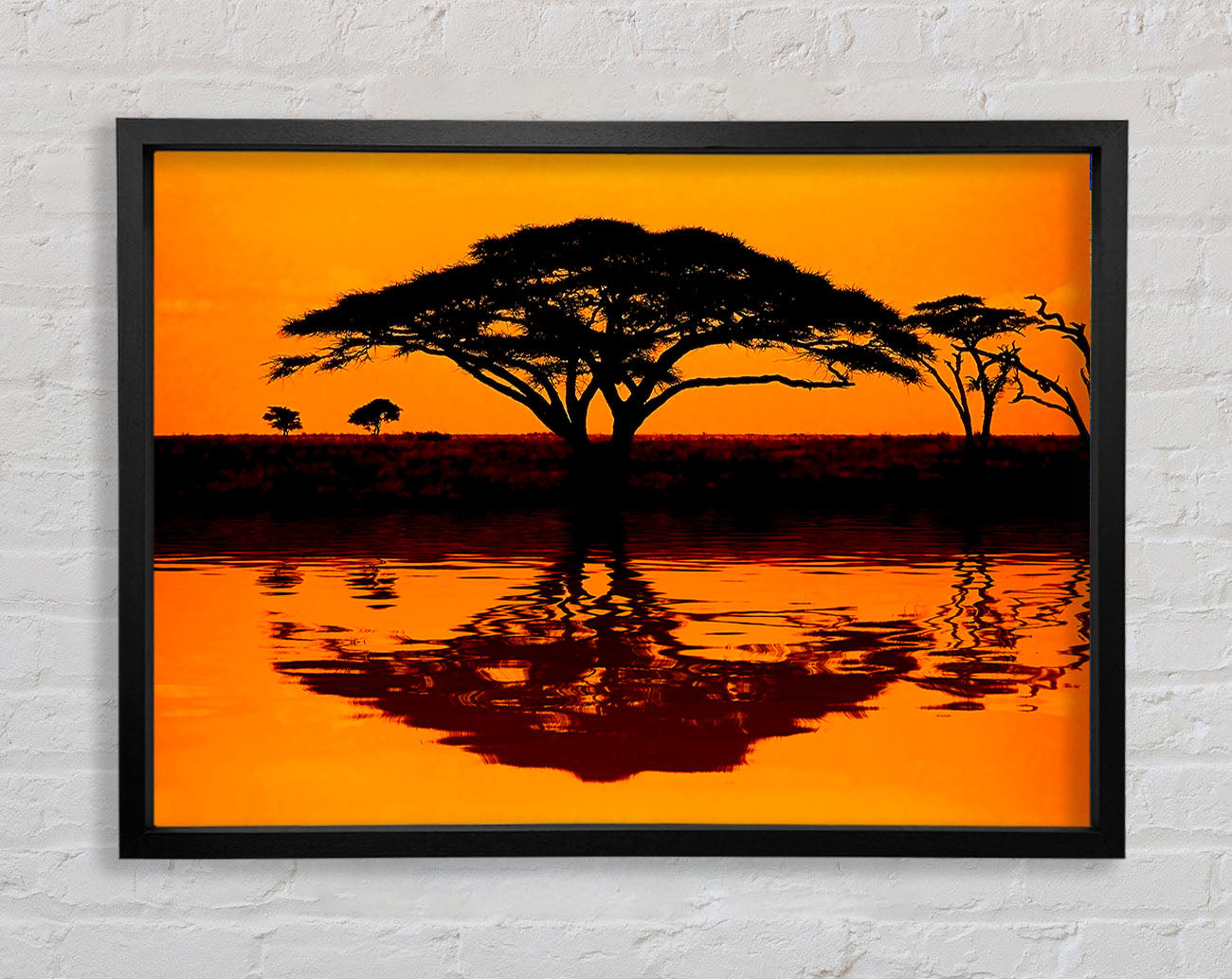 African Tree Reflection Framed Wall Art