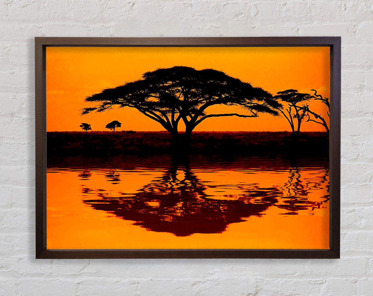 African Tree Reflection Framed Wall Art