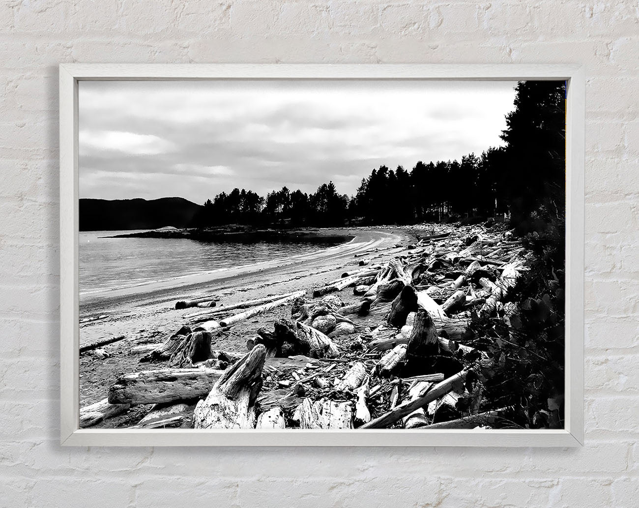 Black And White Driftwood Ocean Framed Wall Art