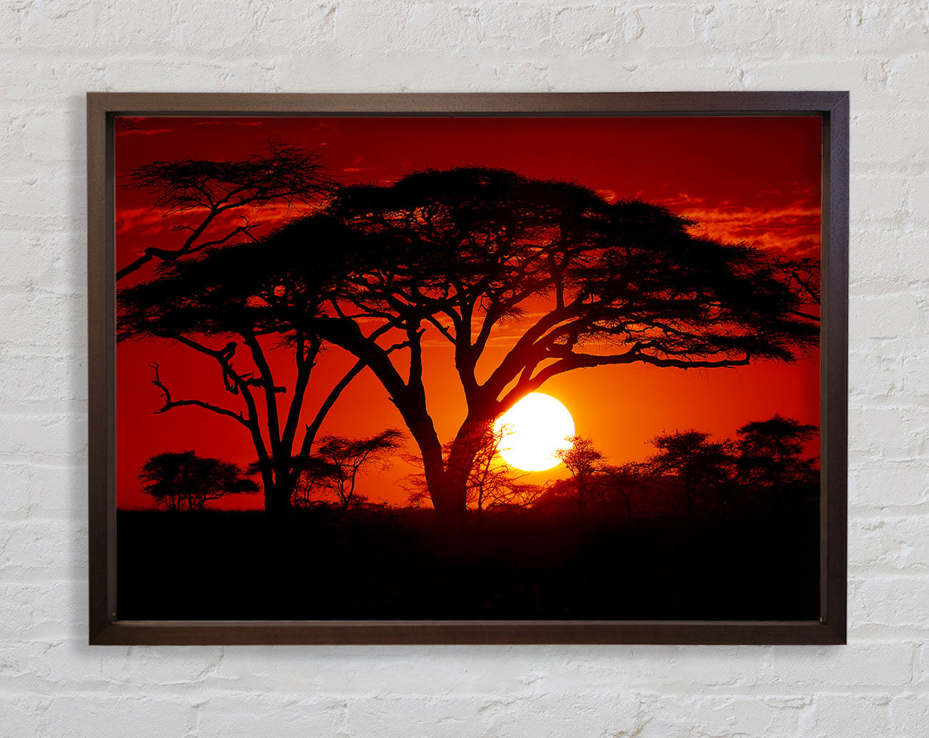 As The Night Falls Framed Wall Art