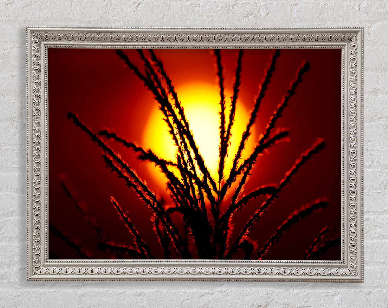 As The Sun Lights Up The Reeds Framed Wall Art