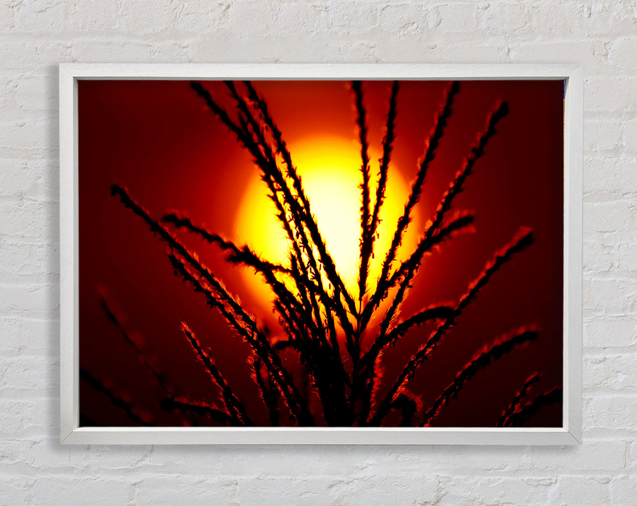 As The Sun Lights Up The Reeds Framed Wall Art