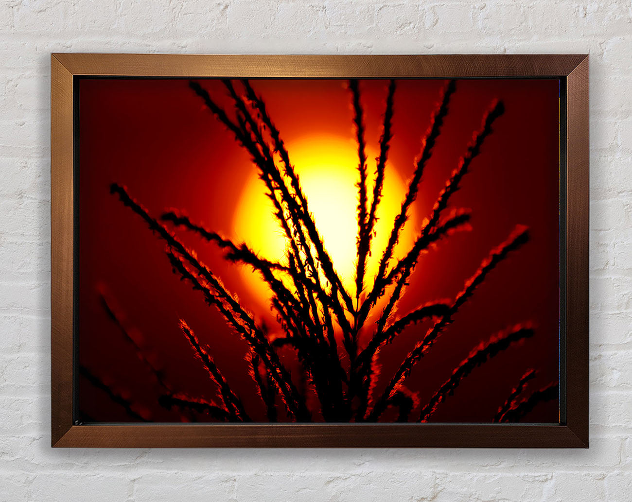 As The Sun Lights Up The Reeds Framed Wall Art