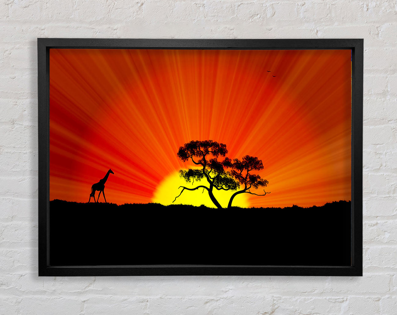 African Sunblaze Framed Wall Art