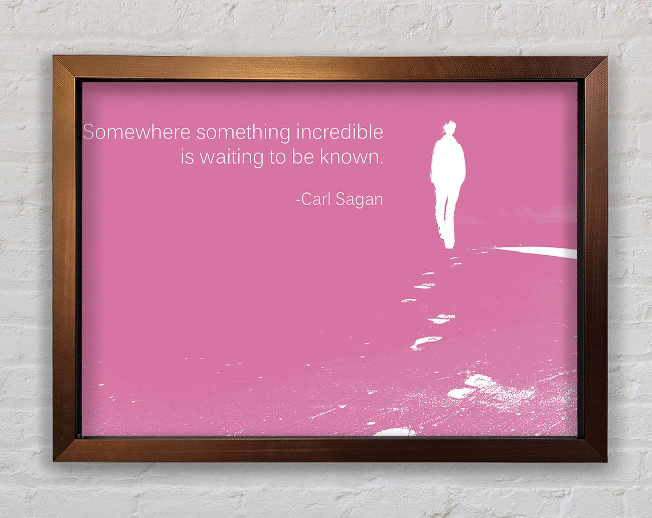 Carl Sagan Somewhere Something Pink Framed Wall Art