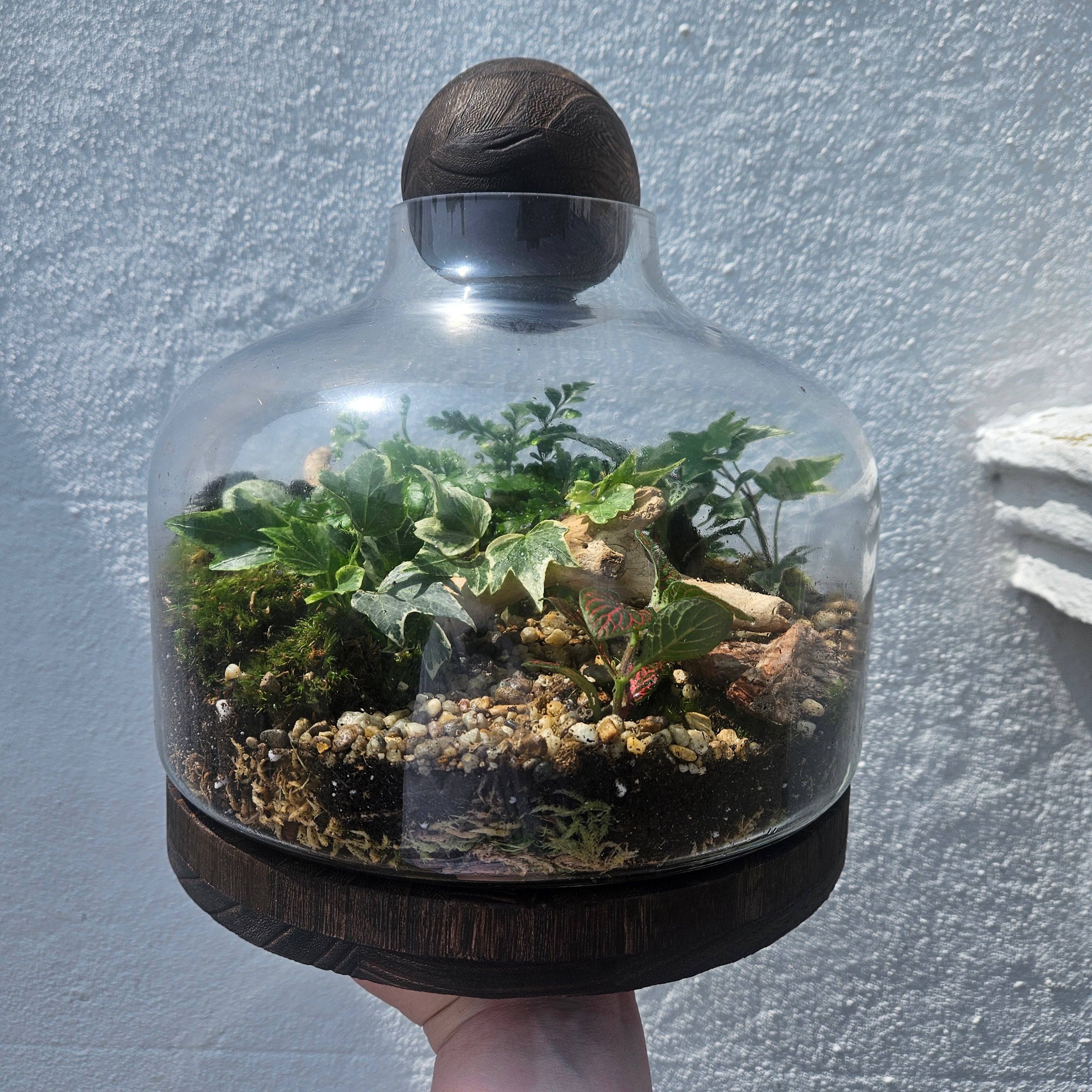 Wooden Ball Closed Terrarium