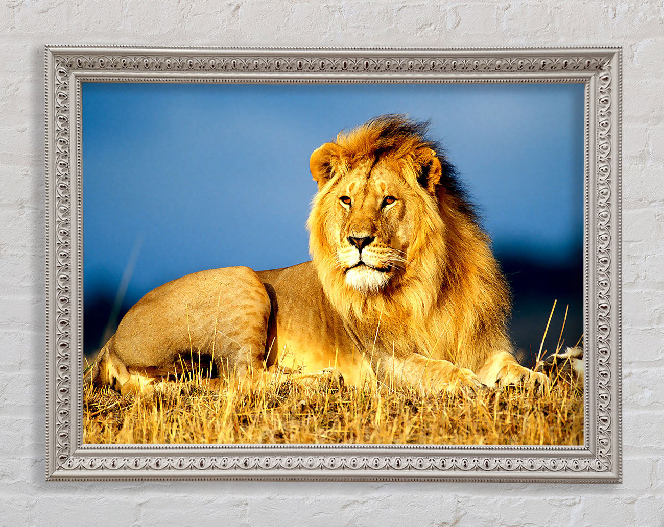 African Lion King Framed Wall Art