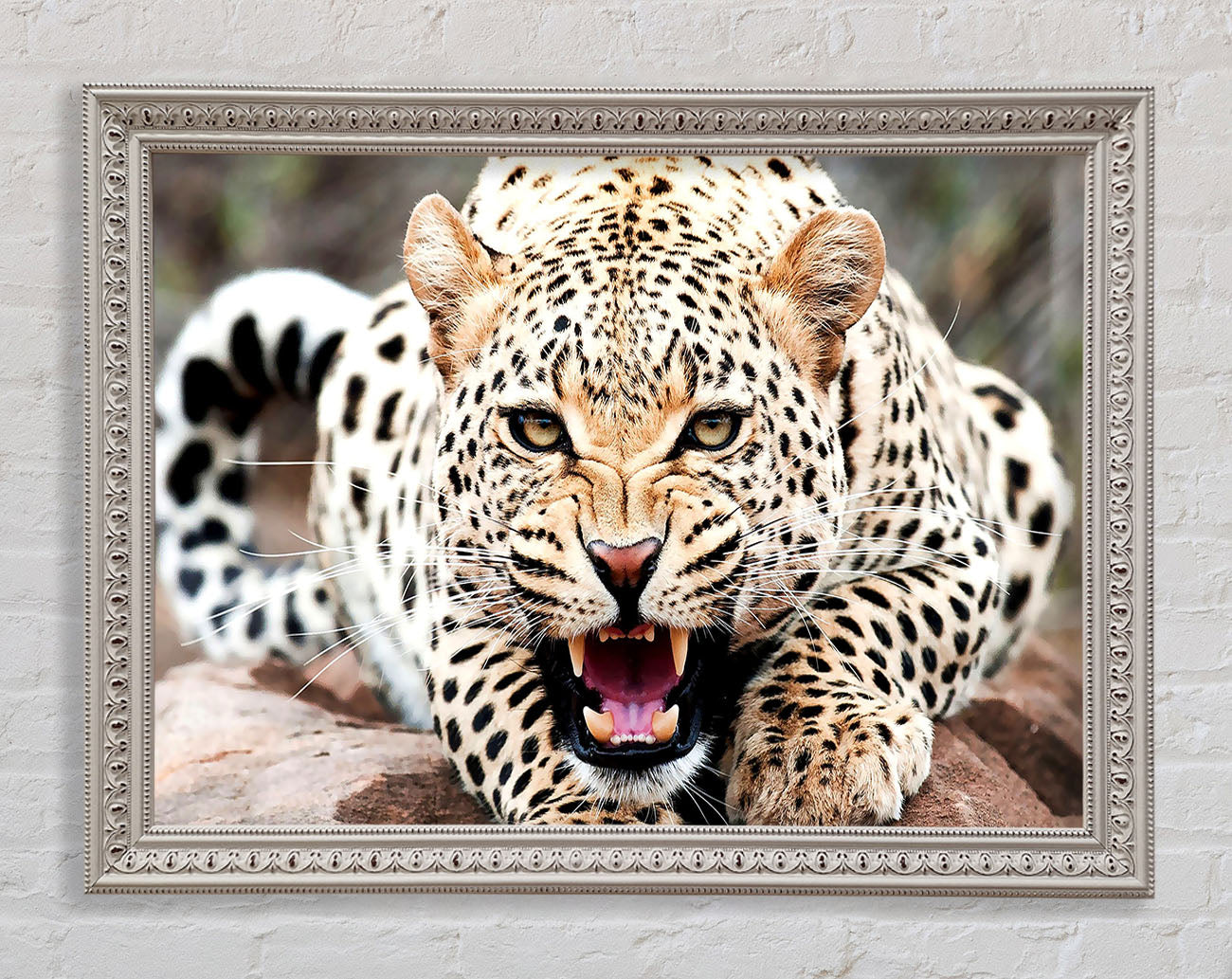 Amazing Cheetah Framed Wall Art