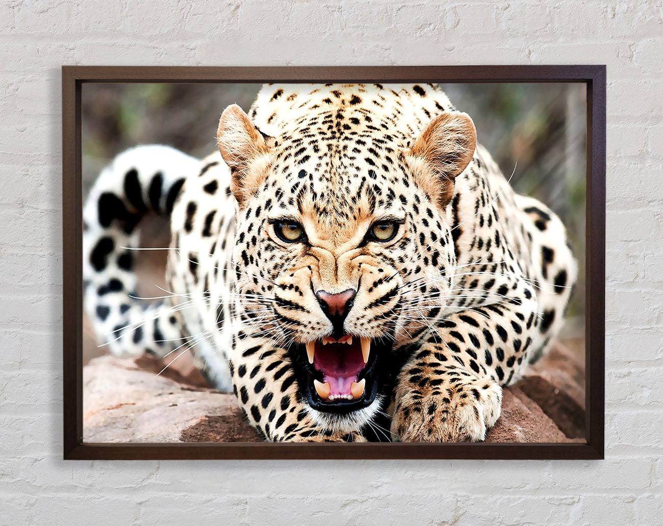Amazing Cheetah Framed Wall Art