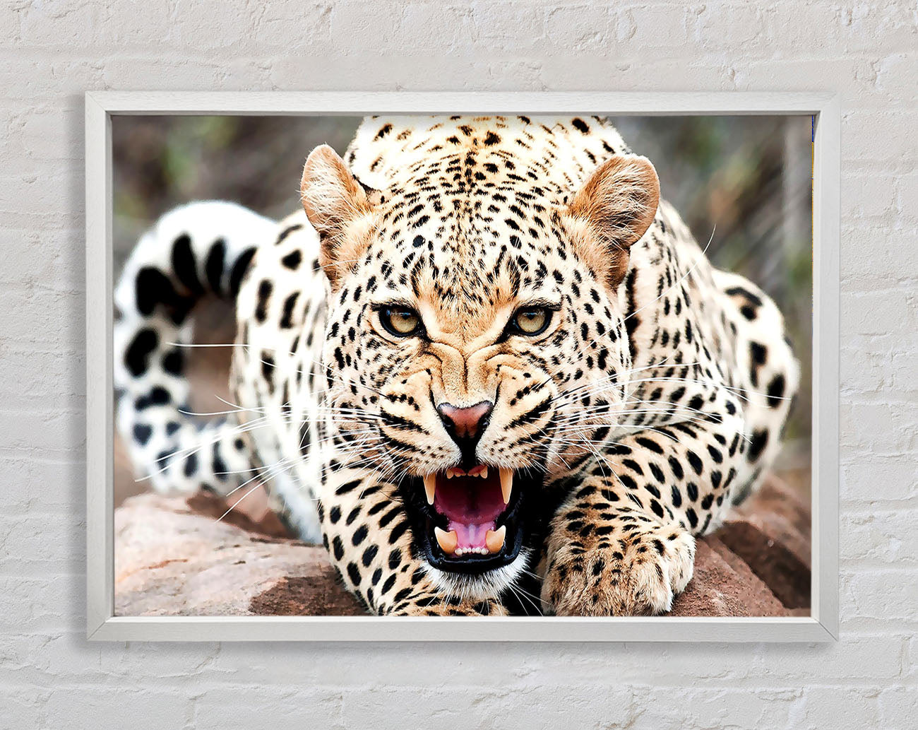 Amazing Cheetah Framed Wall Art