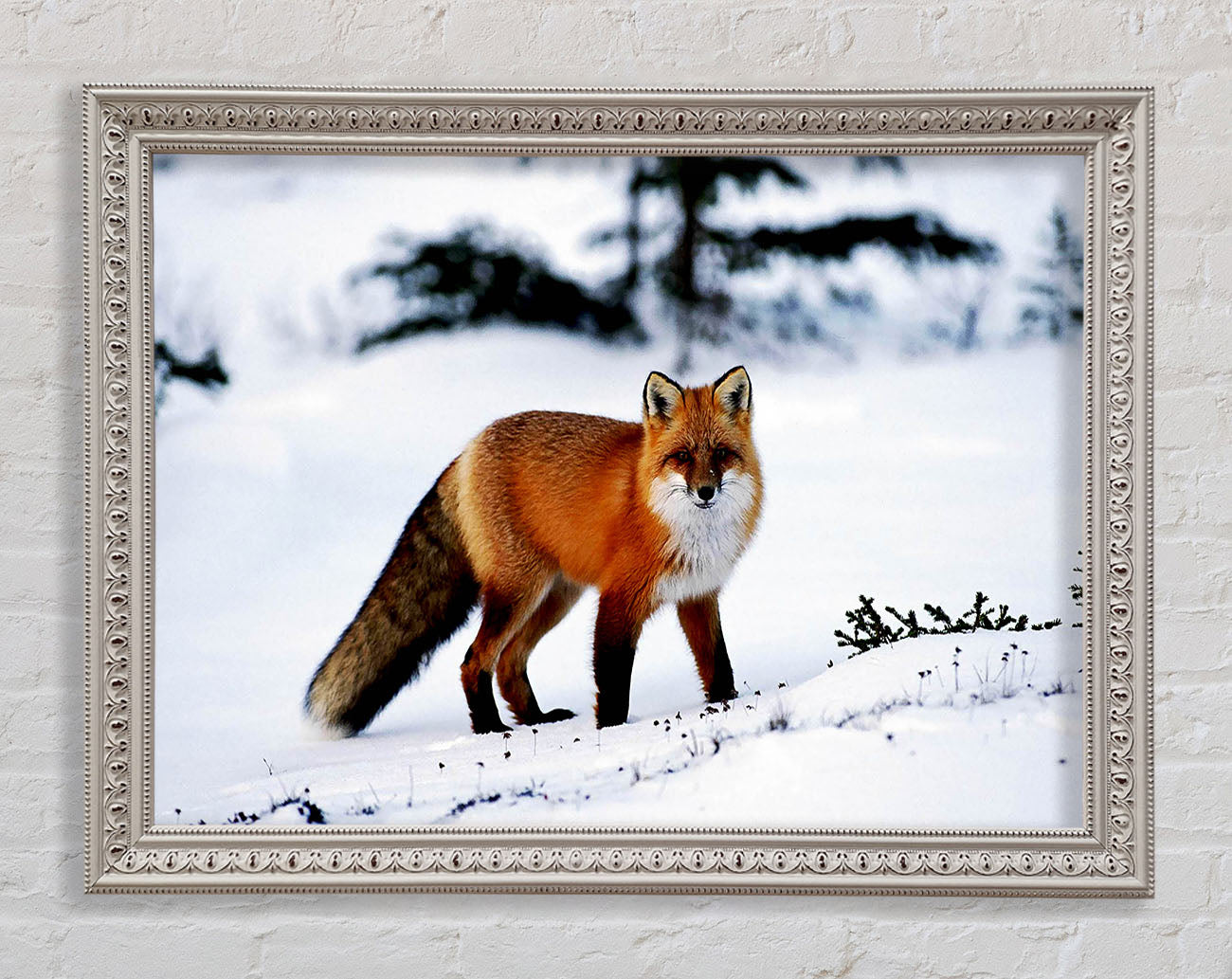 Arctic Fox In Snow Framed Wall Art