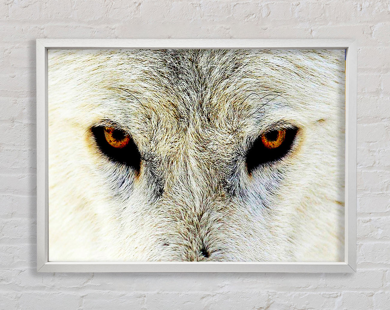 Arctic Wolf Eyes Framed Wall Art