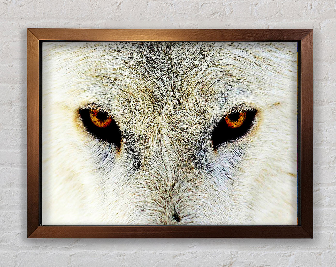 Arctic Wolf Eyes Framed Wall Art