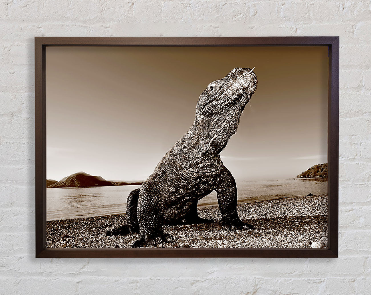 Beach Komodo Dragon Framed Wall Art