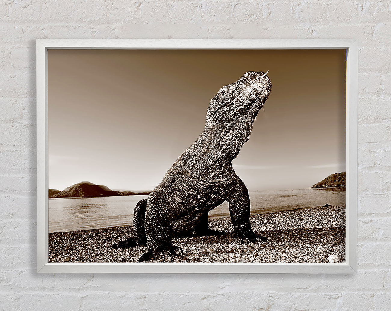 Beach Komodo Dragon Framed Wall Art