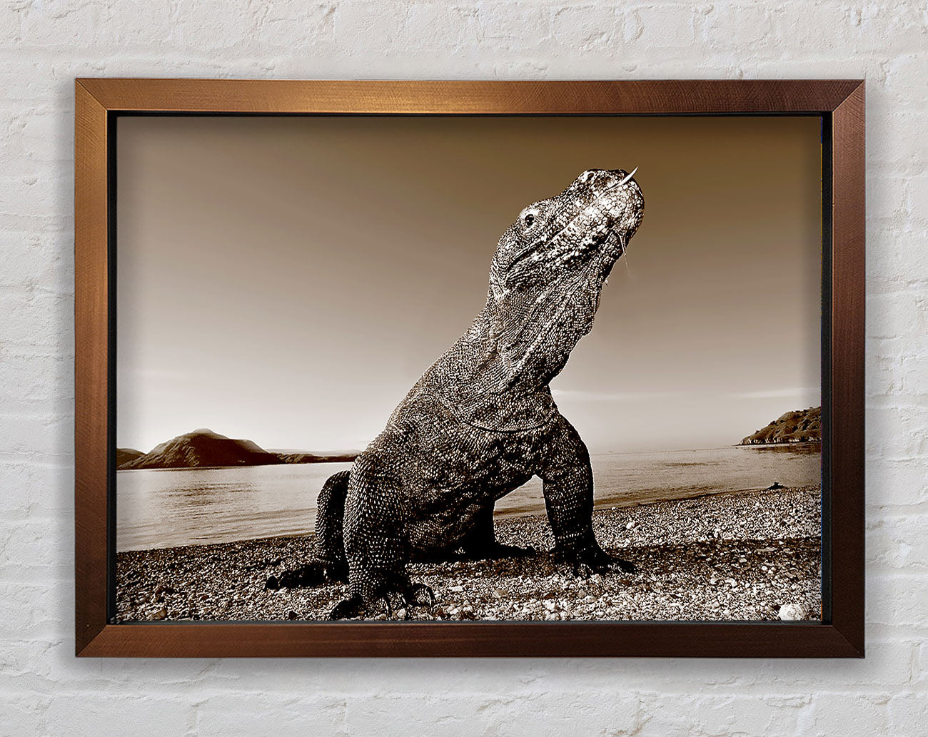 Beach Komodo Dragon Framed Wall Art