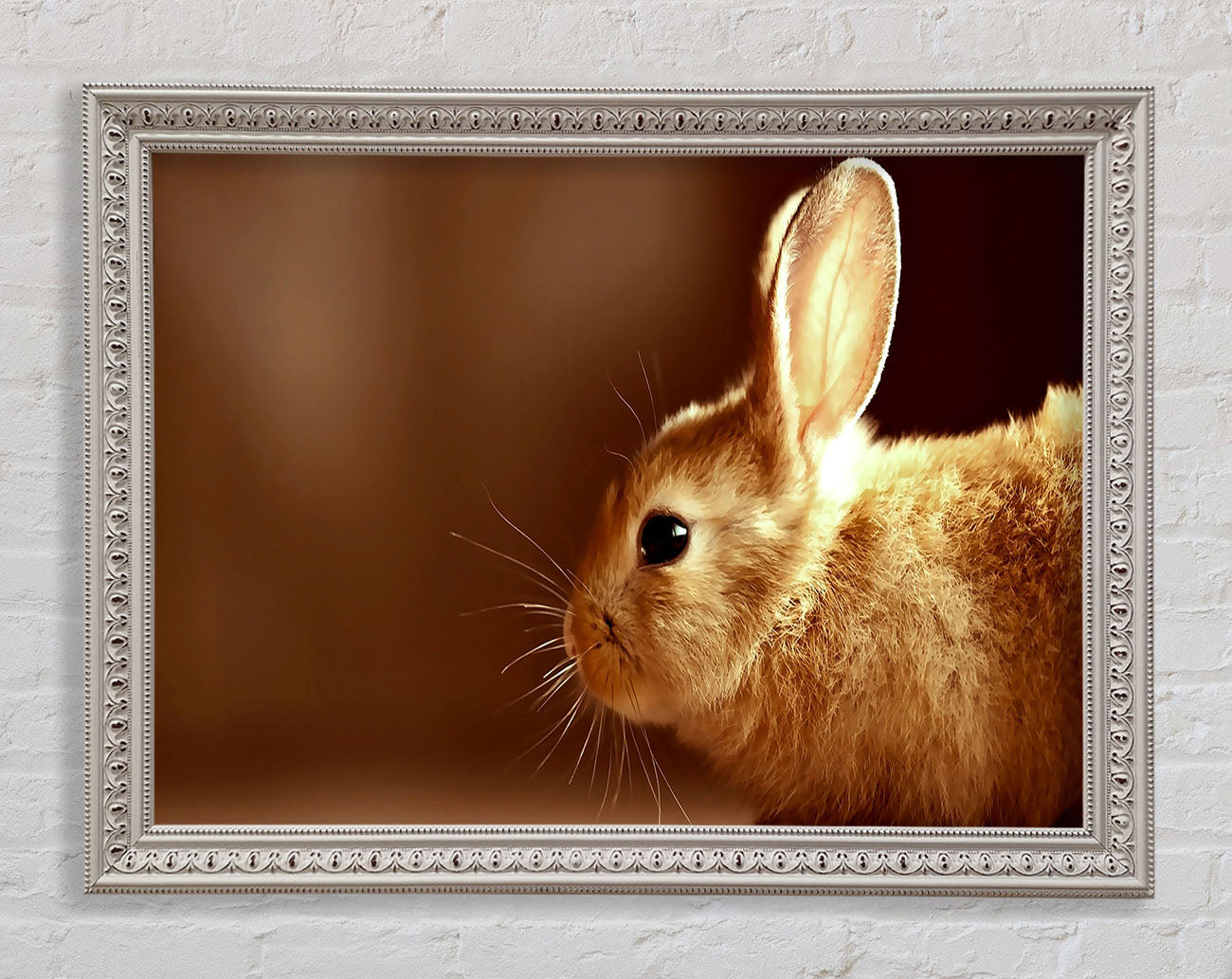 Bunny Whiskers Framed Wall Art
