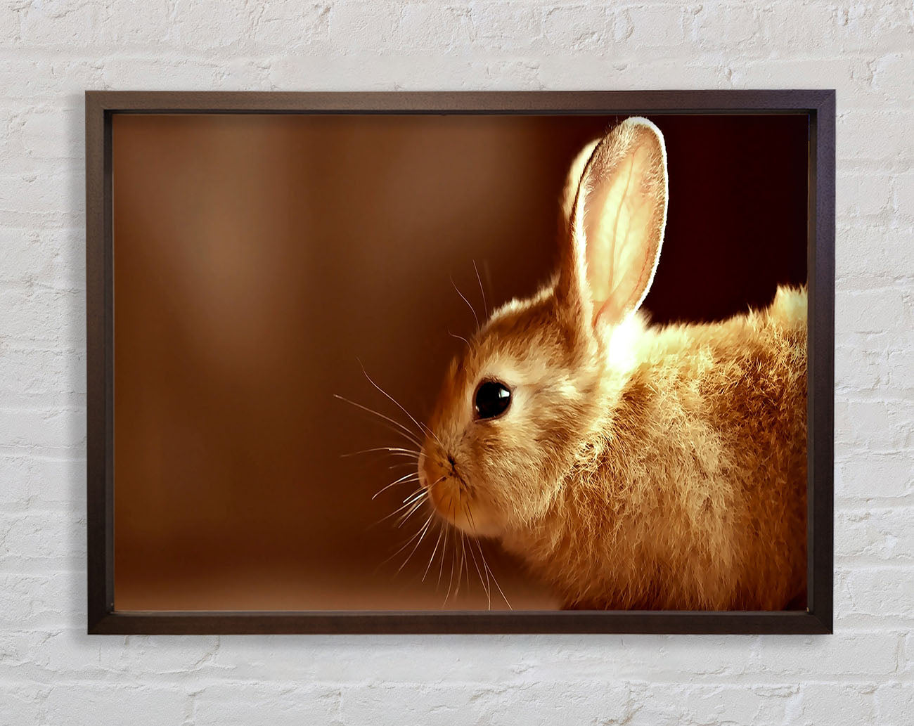 Bunny Whiskers Framed Wall Art