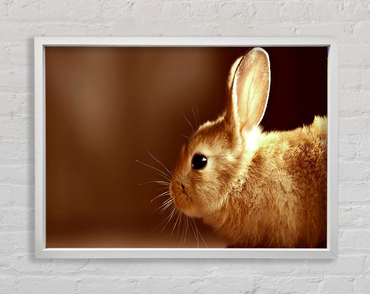 Bunny Whiskers Framed Wall Art