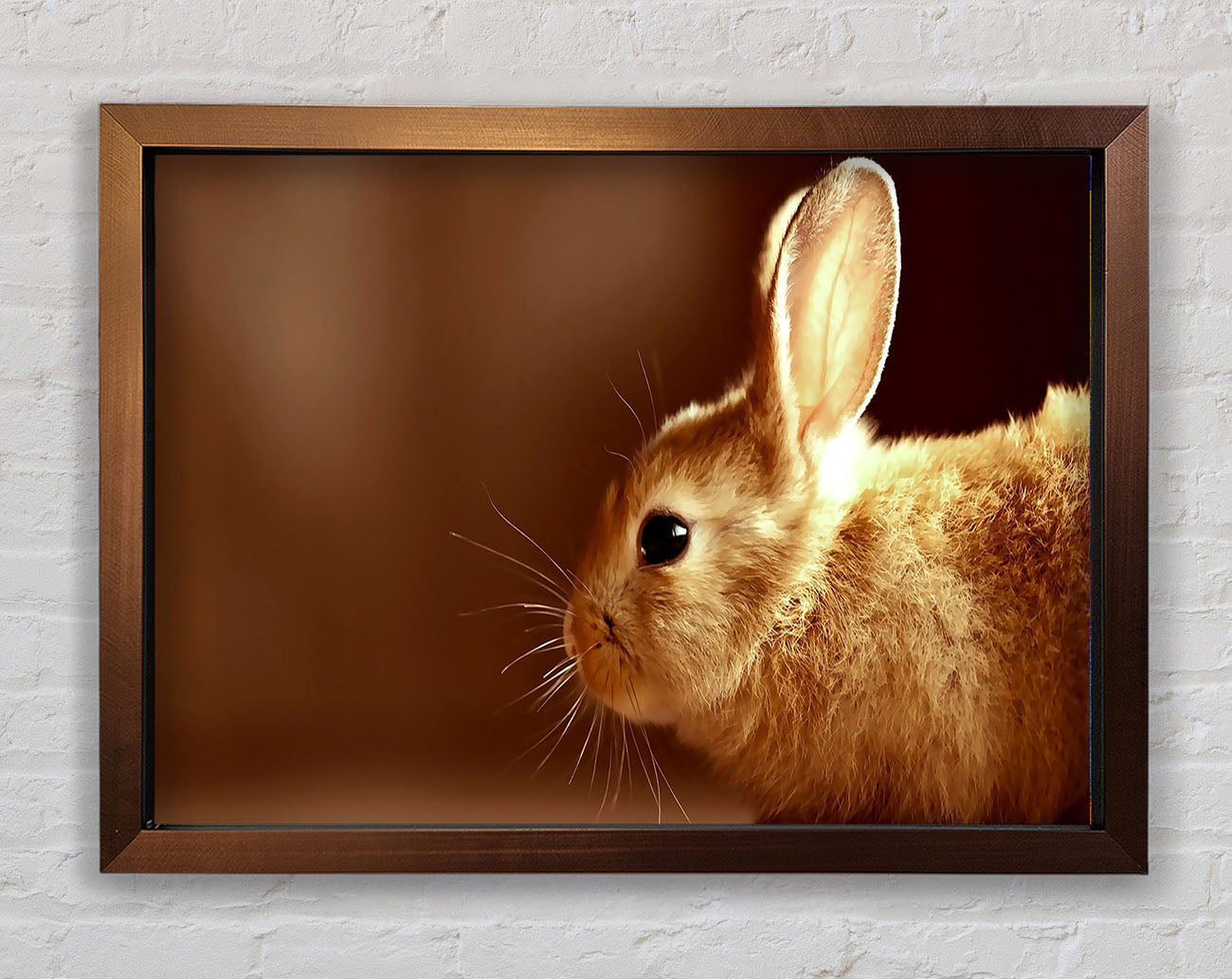 Bunny Whiskers Framed Wall Art