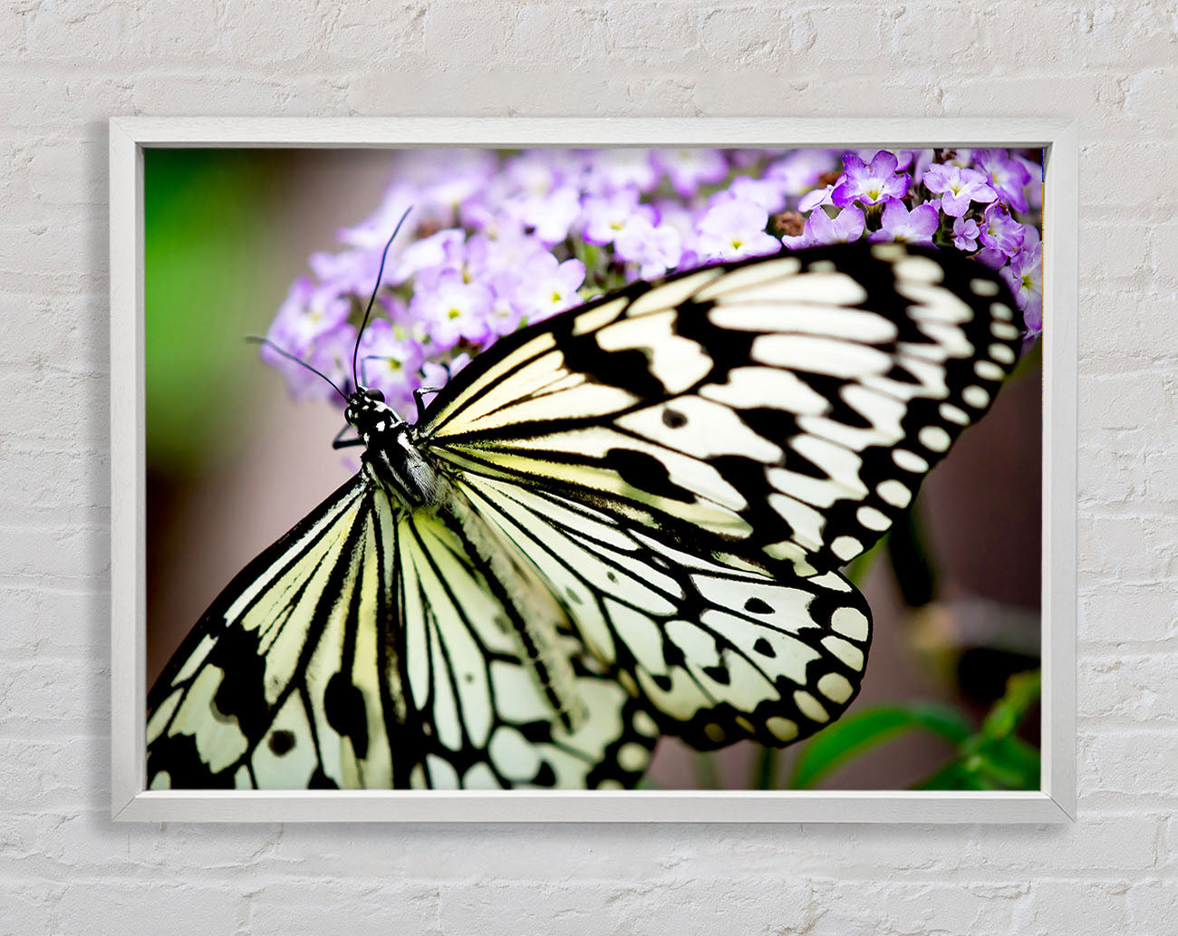 Butterfly Pattern Framed Wall Art