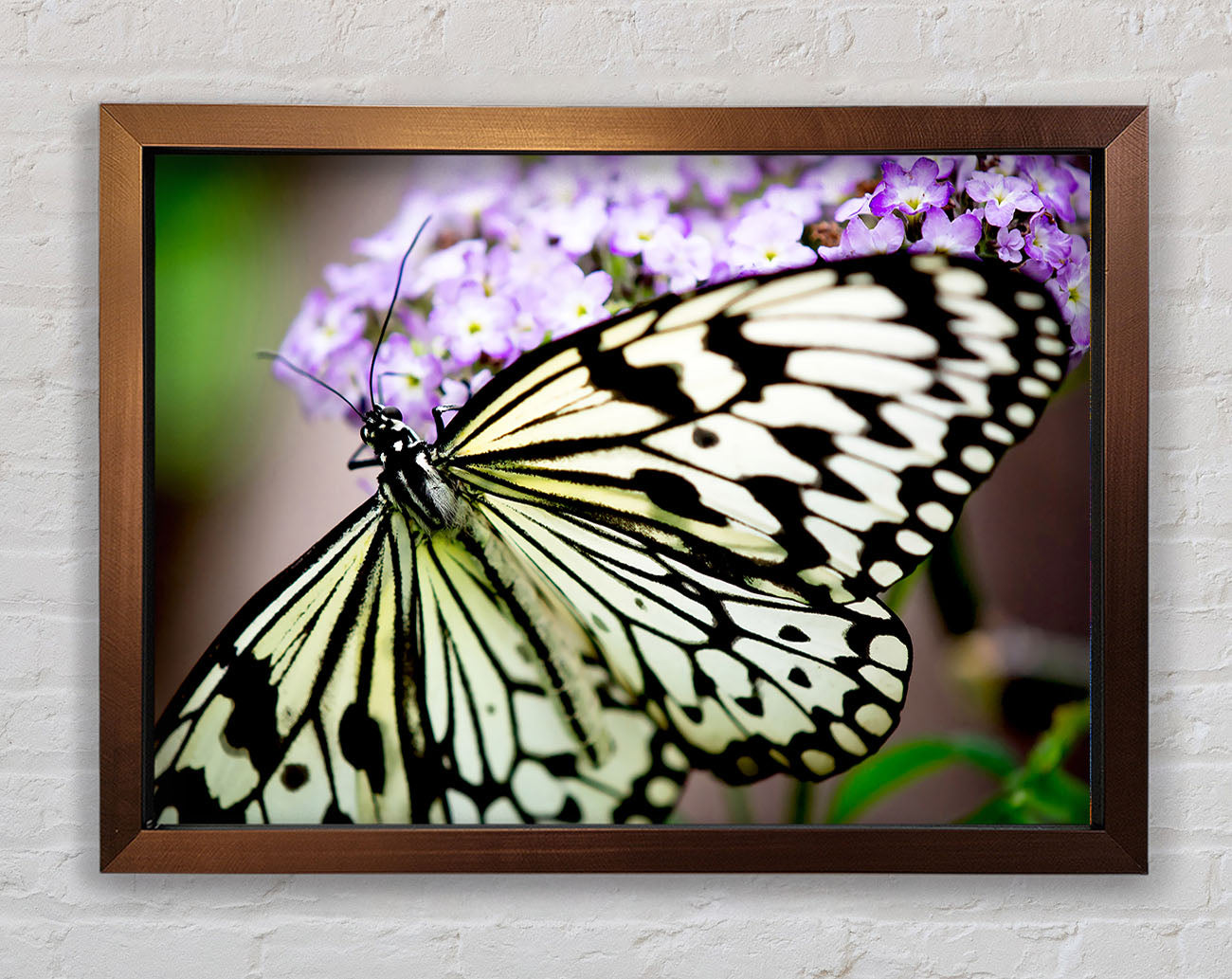 Butterfly Pattern Framed Wall Art