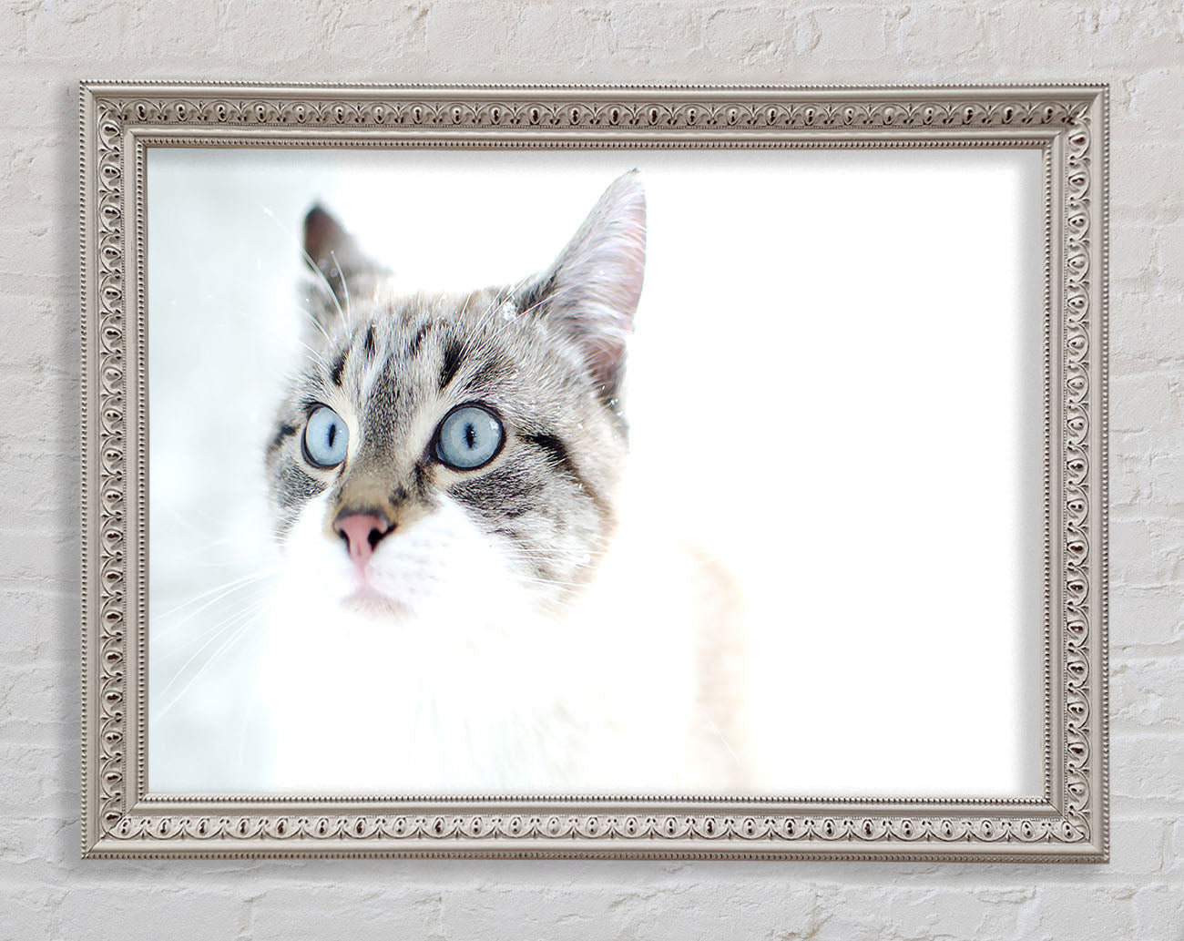 Cat Snow Framed Wall Art