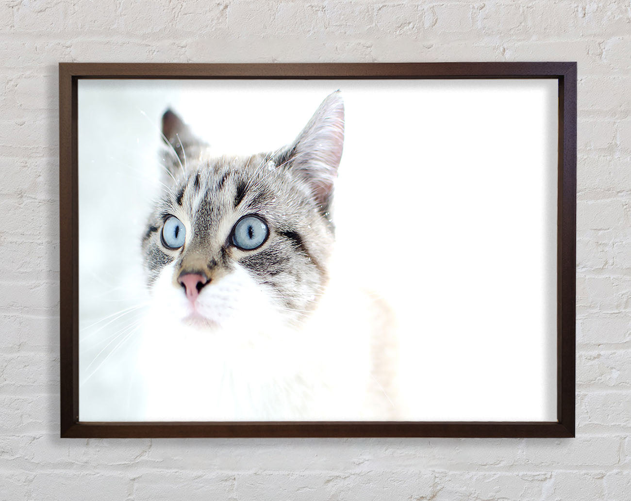 Cat Snow Framed Wall Art
