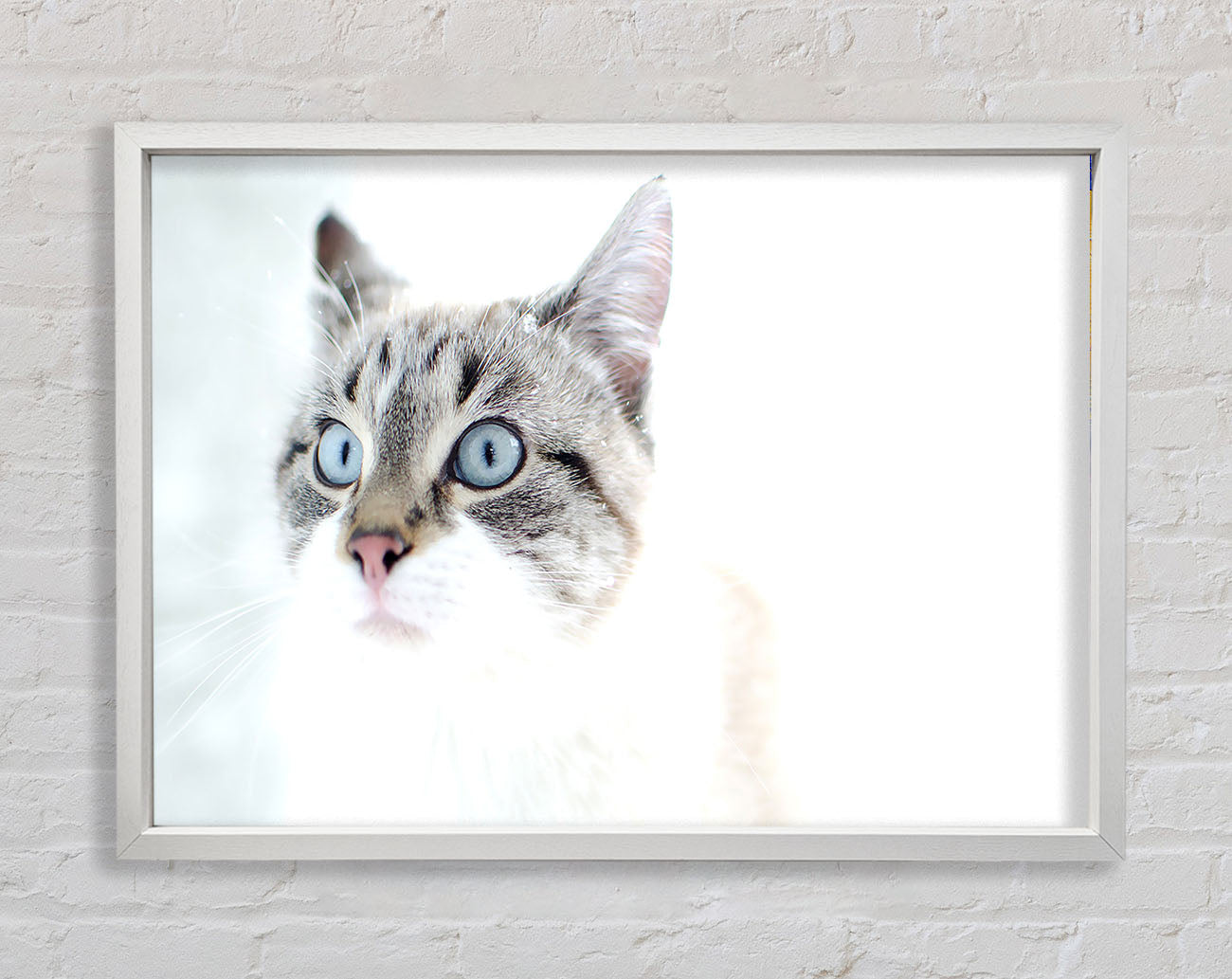 Cat Snow Framed Wall Art