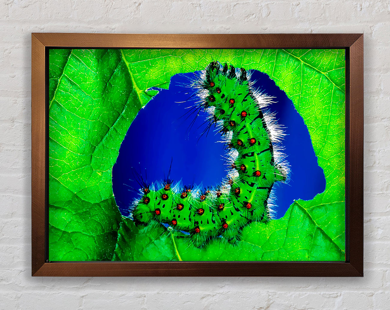 Caterpiller Delight Framed Wall Art