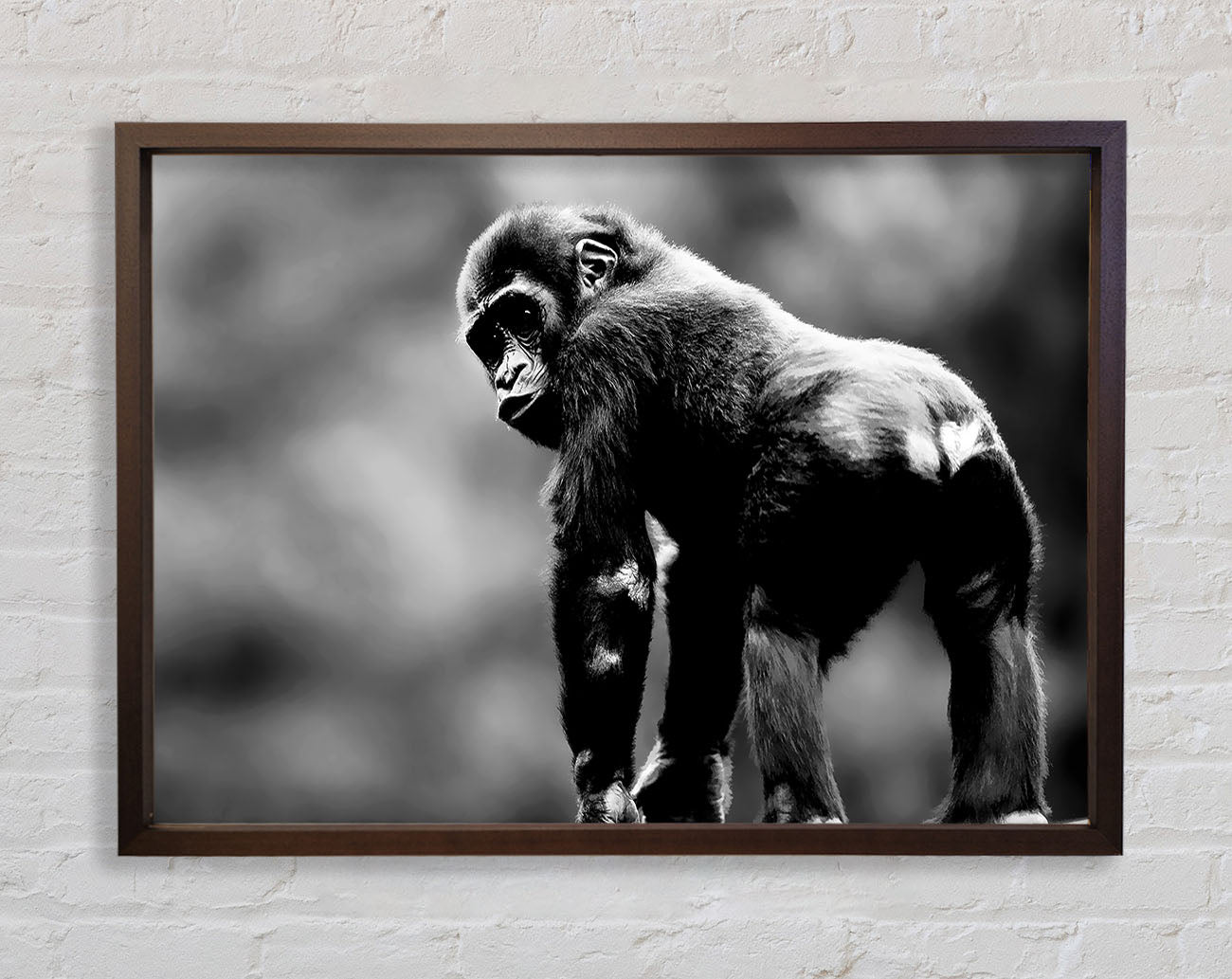 Cheeky Monkey Framed Wall Art