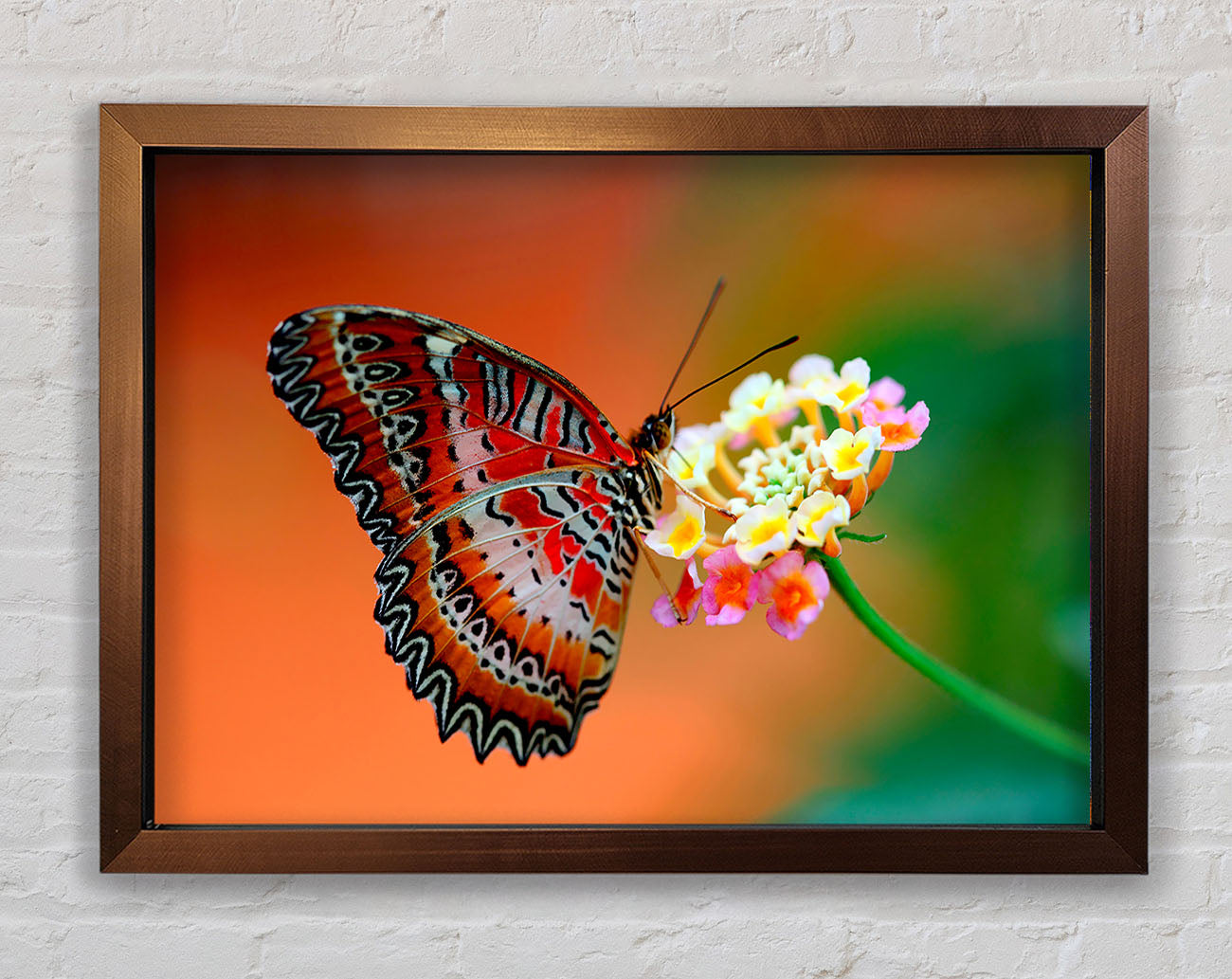 Colourful Butterfly Rests Framed Wall Art
