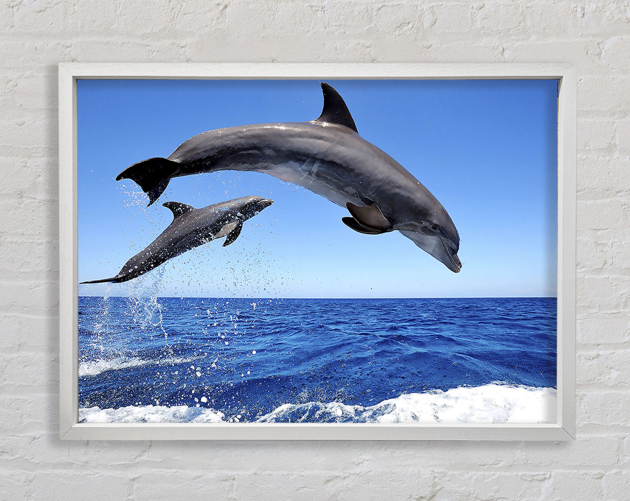 Common Bottlenose Dolphins Framed Wall Art