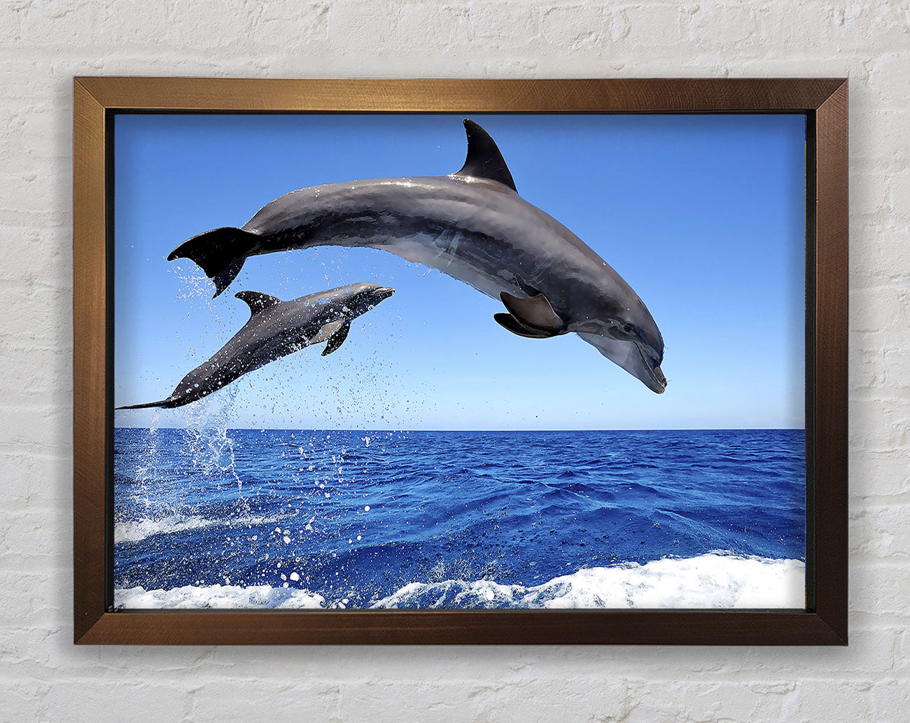 Common Bottlenose Dolphins Framed Wall Art