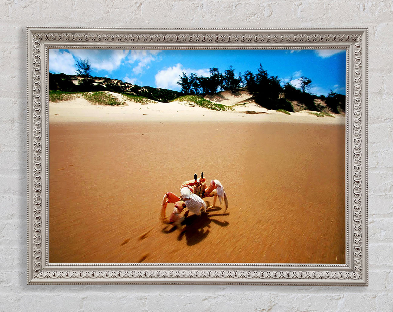 Crab Paradise Framed Wall Art