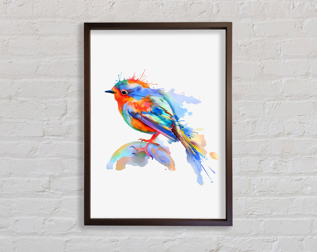 Colourful Robin Framed Wall Art