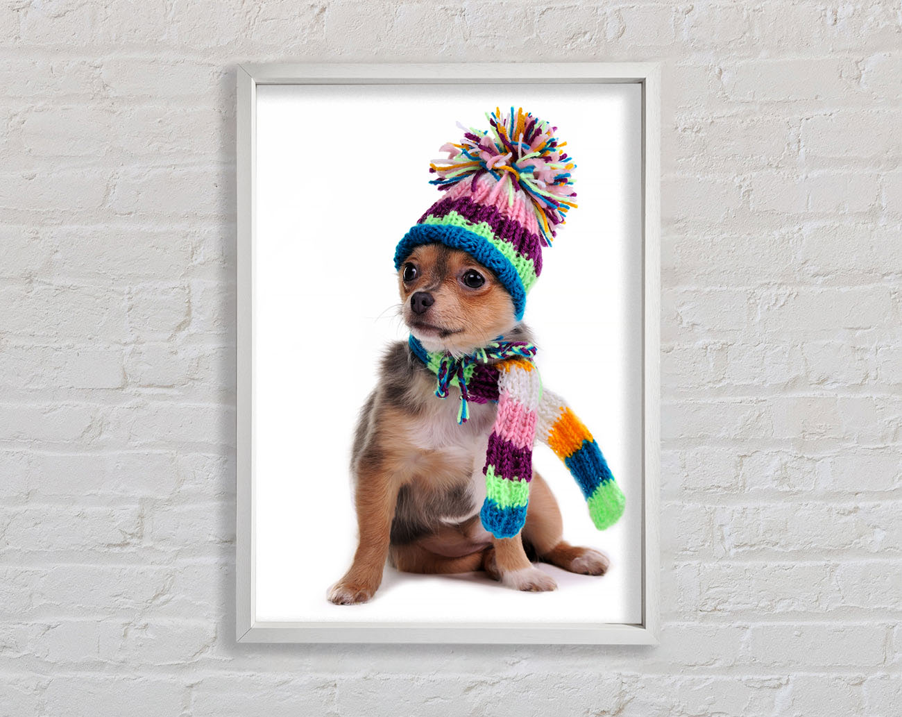 Chihuahua Dog Dressed For Winter Framed Wall Art