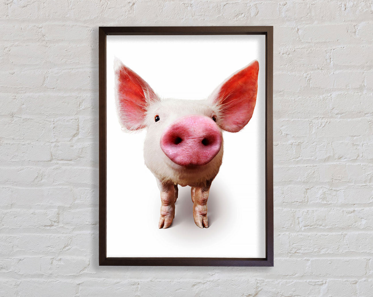 Curious Pig Framed Wall Art