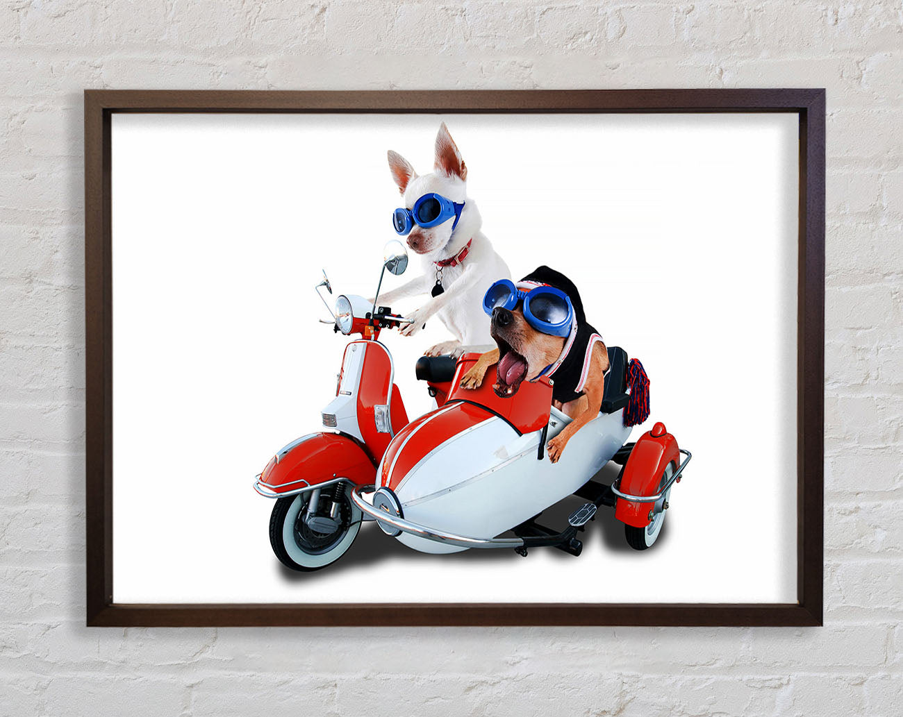 Chihuahua Sidecar Mayhem Dogs Framed Wall Art