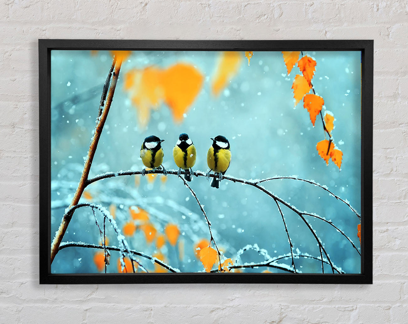 Blue Tit Birds Winter Framed Wall Art