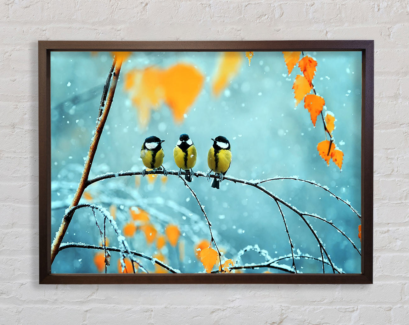 Blue Tit Birds Winter Framed Wall Art