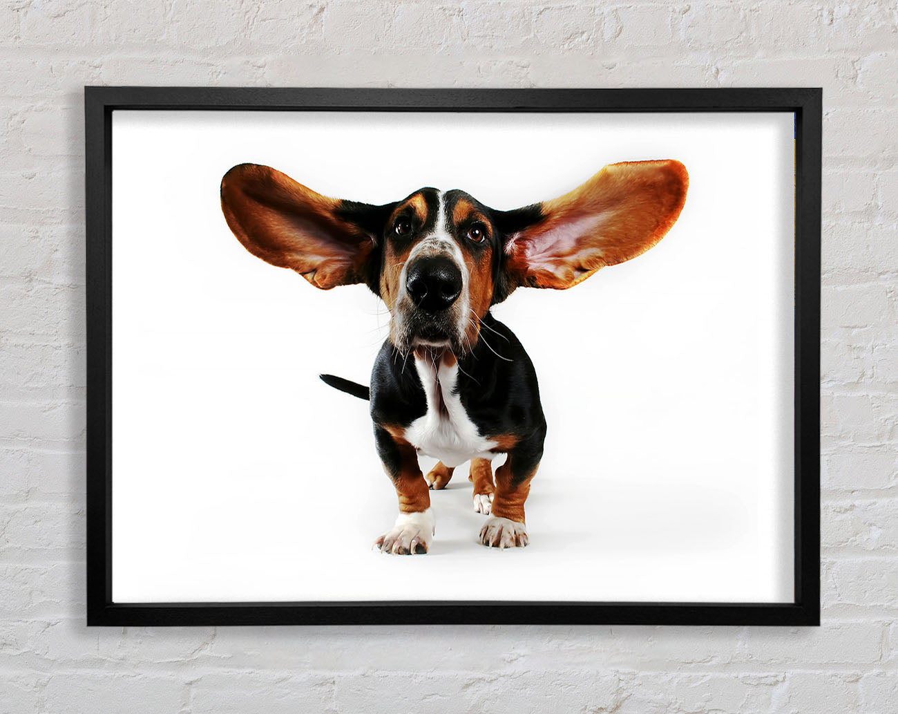 Basset Hound Ears Framed Wall Art