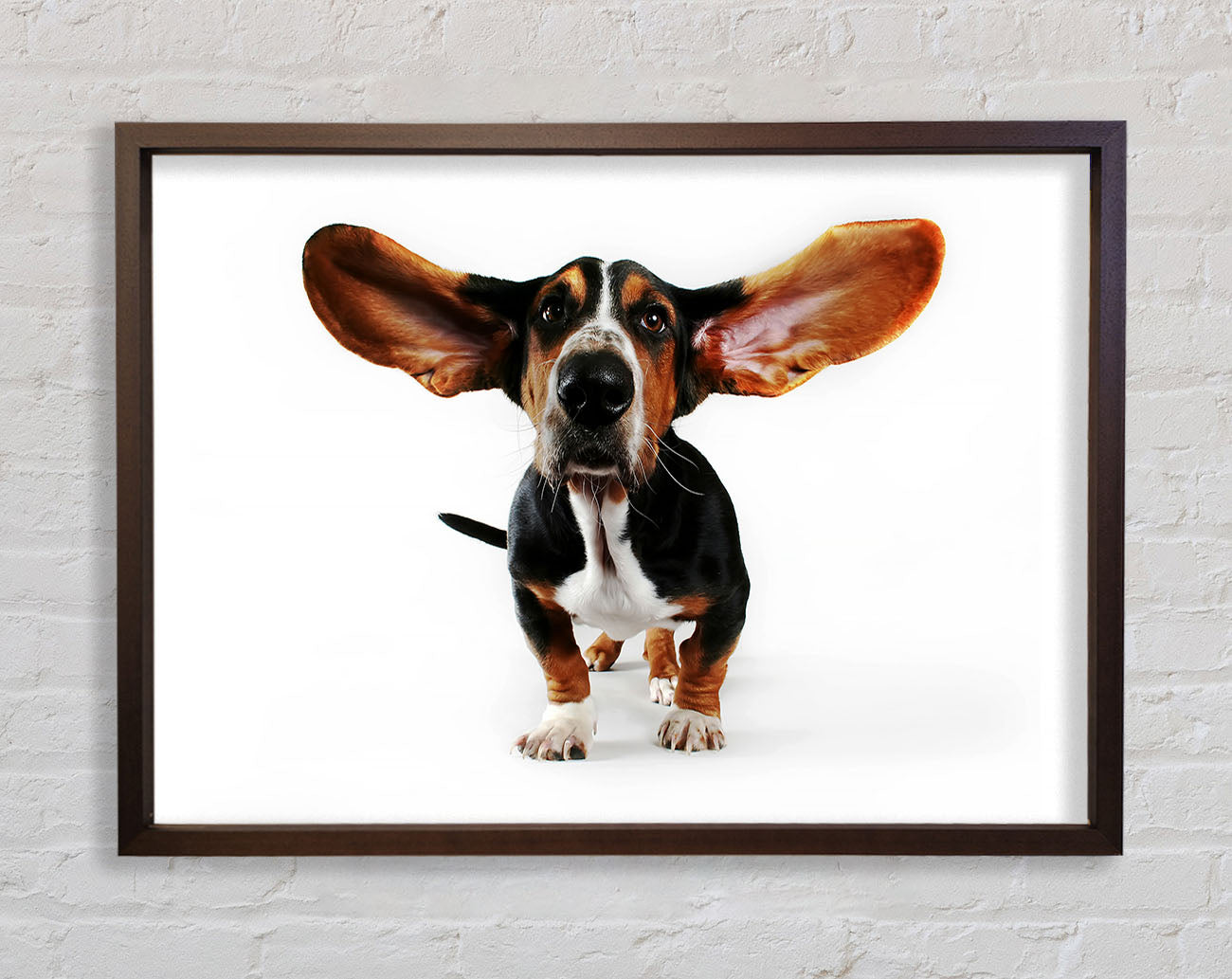 Basset Hound Ears Framed Wall Art