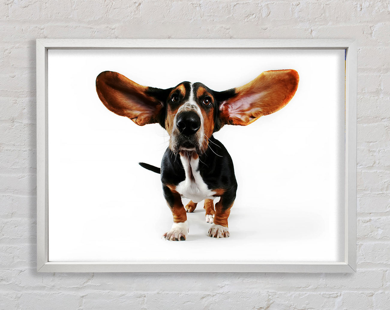 Basset Hound Ears Framed Wall Art