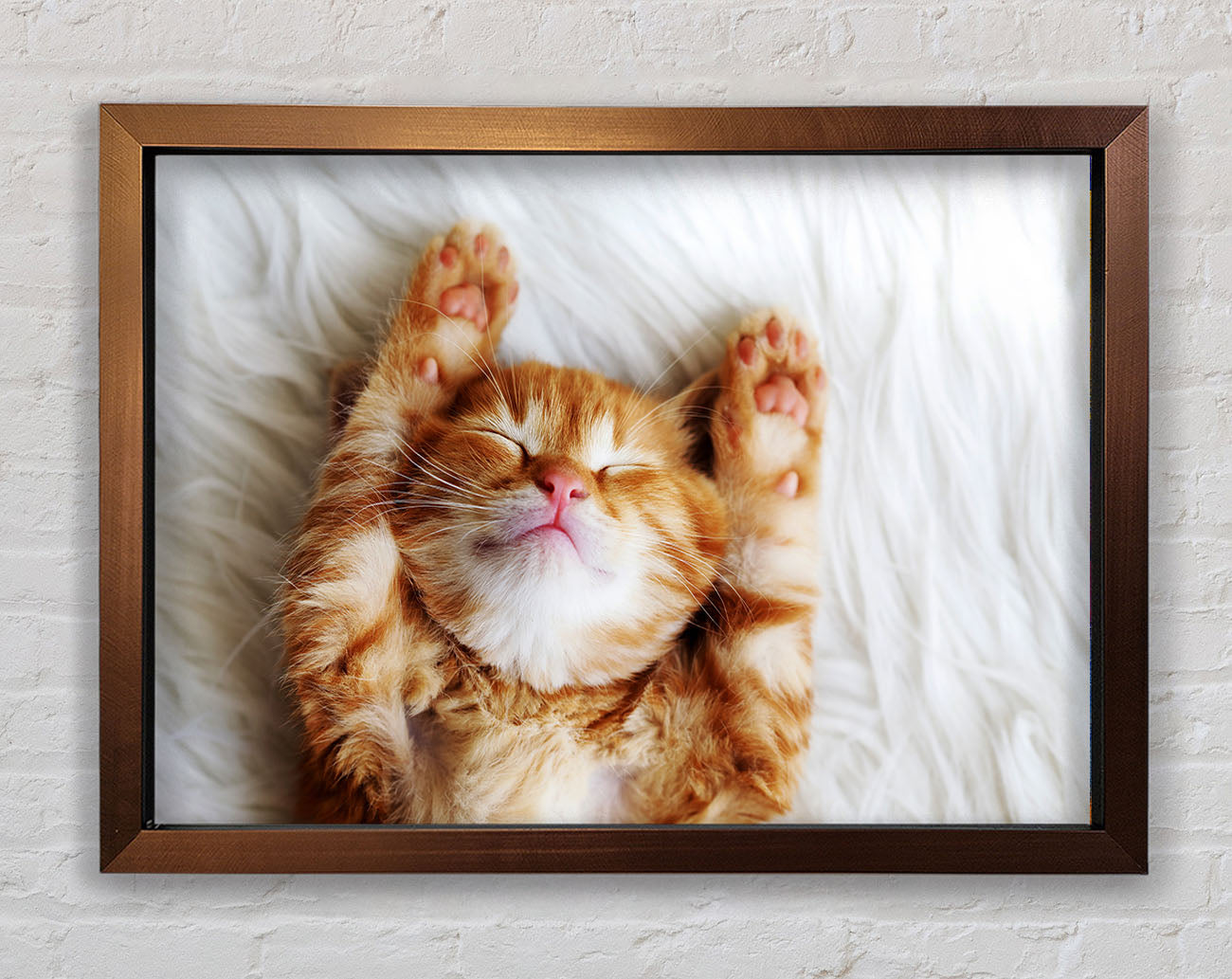 Cat Snooze Framed Wall Art