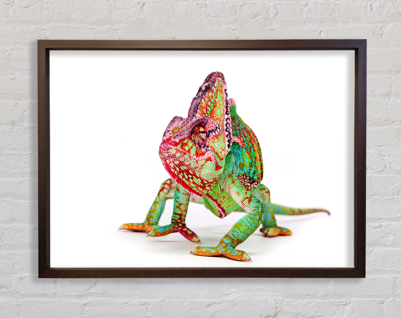 Chameleon Walk Framed Wall Art