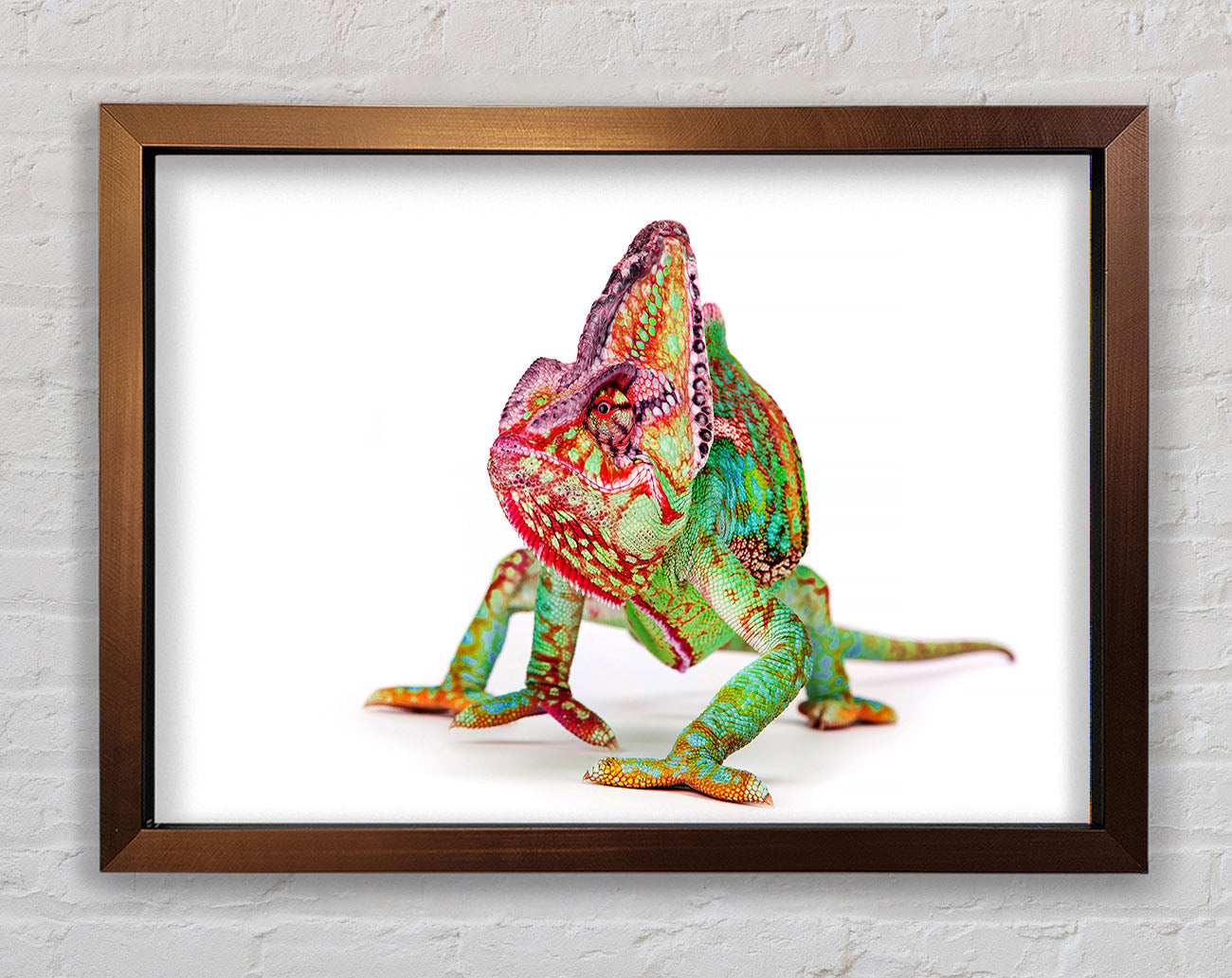 Chameleon Walk Framed Wall Art